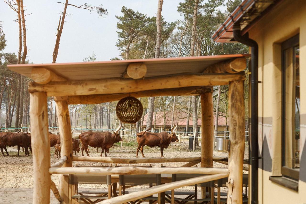 Safari Resort Beekse Bergen Hilvarenbeek Exterior foto