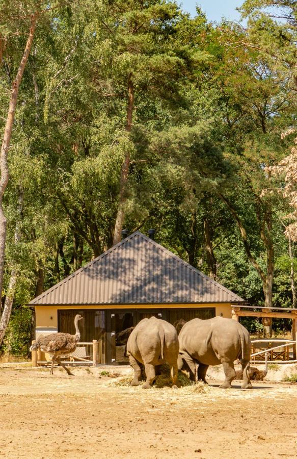 Safari Resort Beekse Bergen Hilvarenbeek Exterior foto