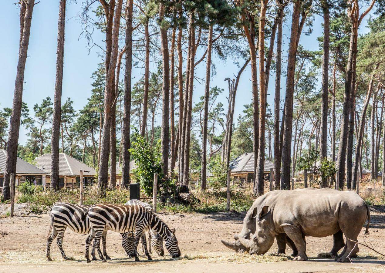 Safari Resort Beekse Bergen Hilvarenbeek Exterior foto